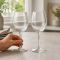 Набір келихів для вина Pasabahce Enoteca 550 мл, 2 шт (6700000)